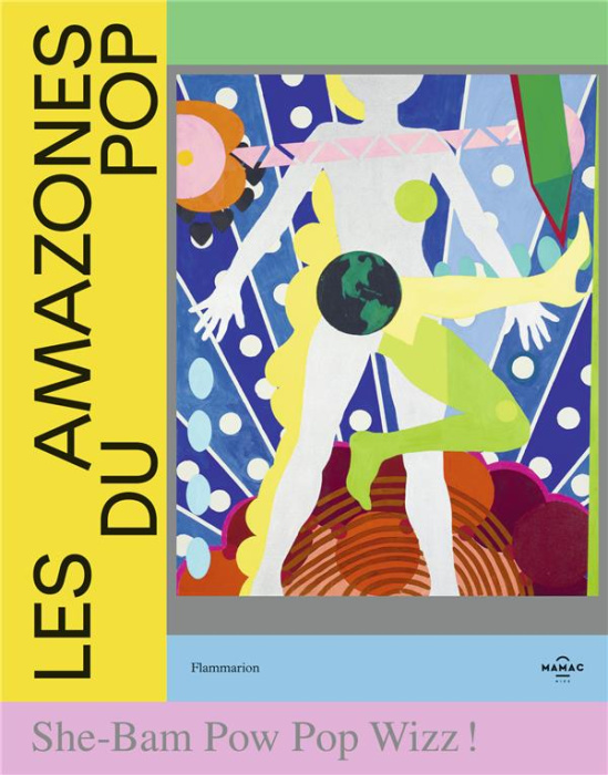 Emprunter Les Amazones du Pop. She-Bam Pow Pop Wizz ! livre
