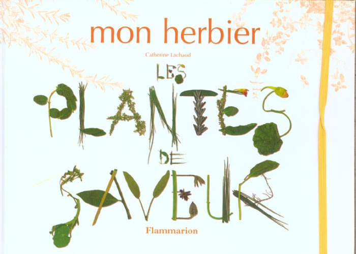 Emprunter MON HERBIER - LES PLANTES DE SAVEURS livre
