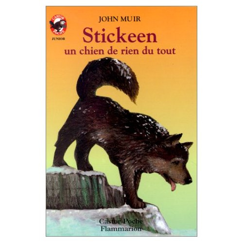 Emprunter STICKEEN, UN CHIEN DE RIEN DU TOUT - - HISTOIRE D'ANIMAUX, DES 9/10 ANS livre