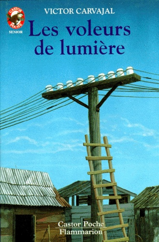 Emprunter VOLEURS DE LUMIERE (LES) livre