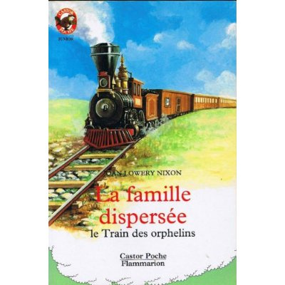 Emprunter FAMILLE DISPERSEE - LE TRAIN DES ORPHELINS (LA) - - JUNIOR livre