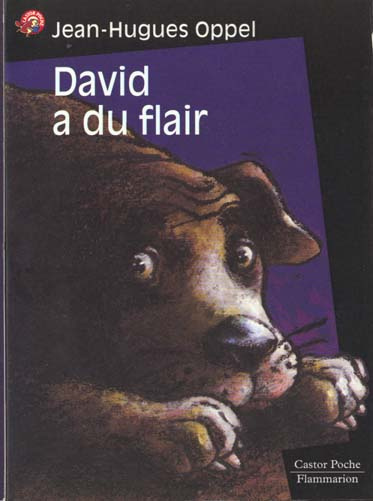 Emprunter DAVID A DU FLAIR livre