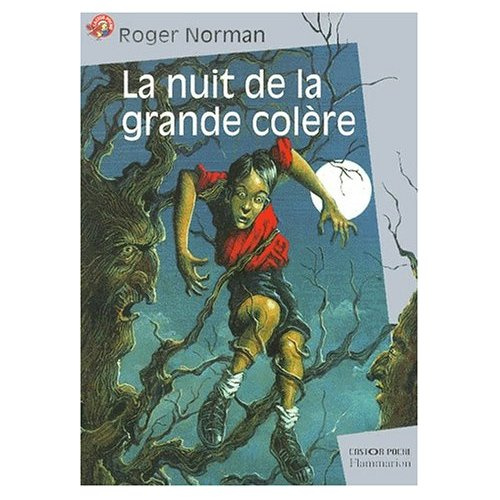 Emprunter La nuit de la grande colère livre