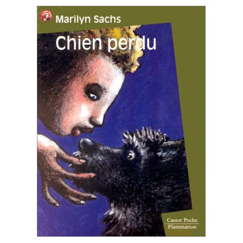 Emprunter CHIEN PERDU livre