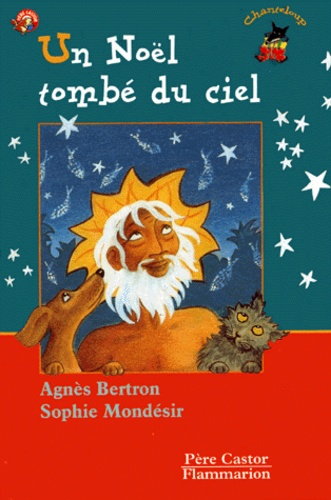 Emprunter Un Noël tombé du ciel livre