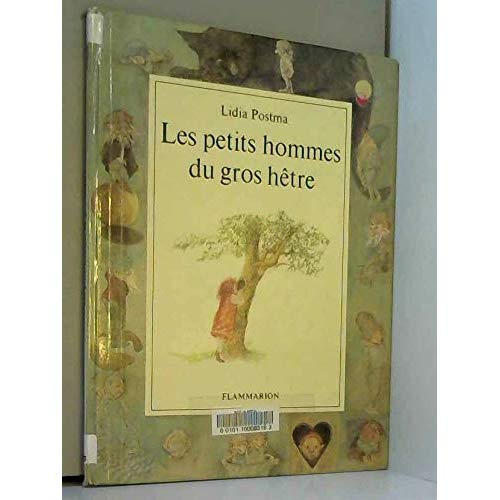 Emprunter PETITS HOMMES DU GROS HETRE - TEXTE ET ILLUSTRATIONS DE POSTMA LIDIA (LES) livre