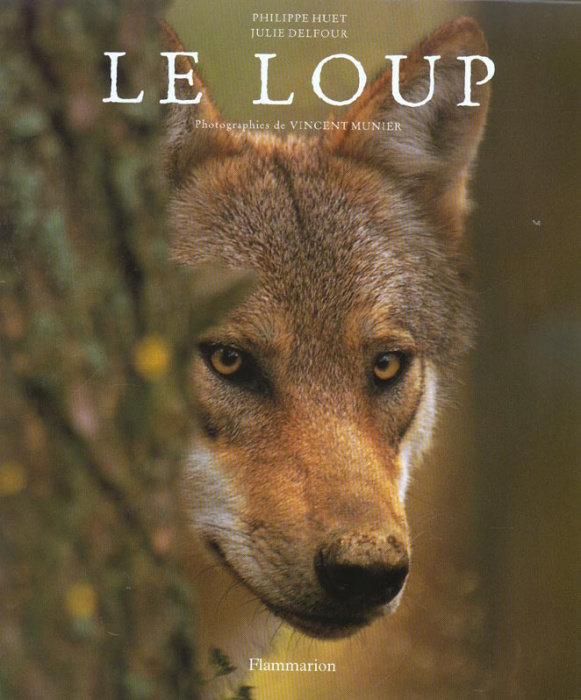 Emprunter Le loup livre