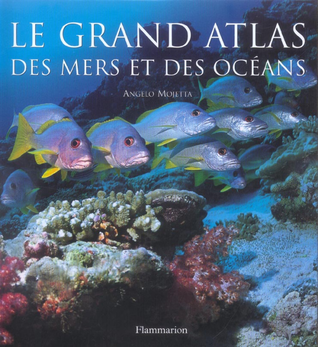 Emprunter Le grand atlas des mers et des océans livre