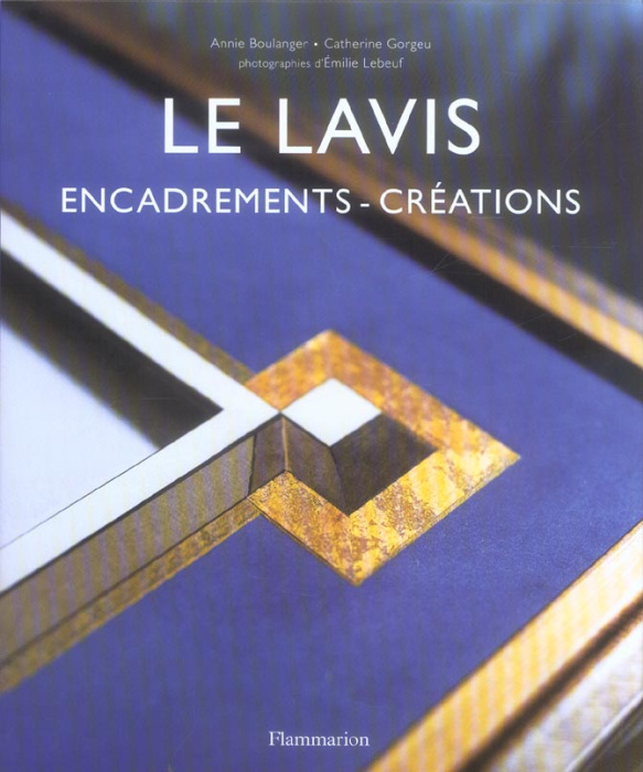 Emprunter LE LAVIS : ENCADREMENTS - CREATIONS livre