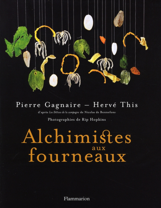 Emprunter Alchimistes aux fourneaux livre
