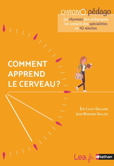Emprunter Comment apprend le cerveau ? livre