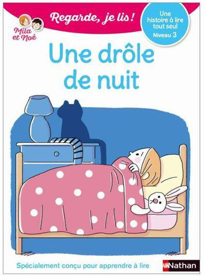 Emprunter Mila et Noé : Une drôle de nuit livre
