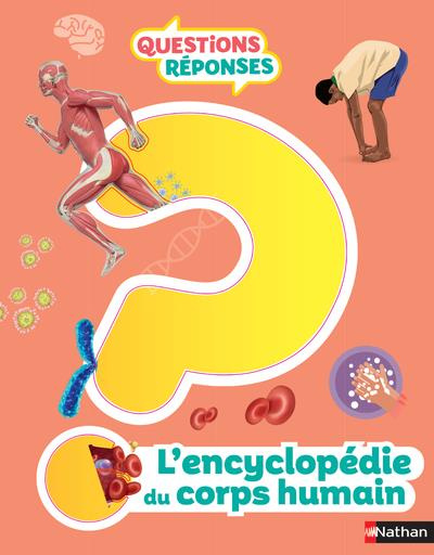 Emprunter L'encyclopédie du corps humain livre