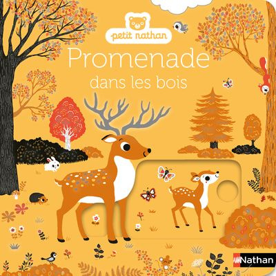 Emprunter Promenade dans les bois livre