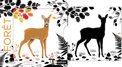 Emprunter Forêt livre