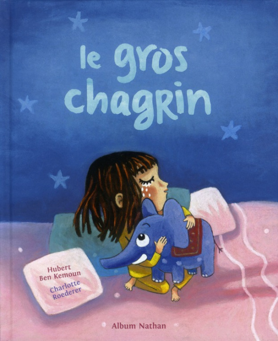 Emprunter Le gros chagrin livre