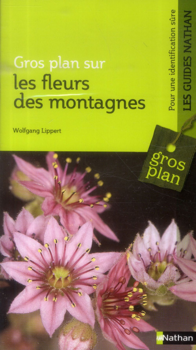 Emprunter Les fleurs de montagne livre