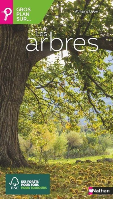 Emprunter Les arbres. Reconnaître et déterminer les feuillus et conifères d'Europe livre