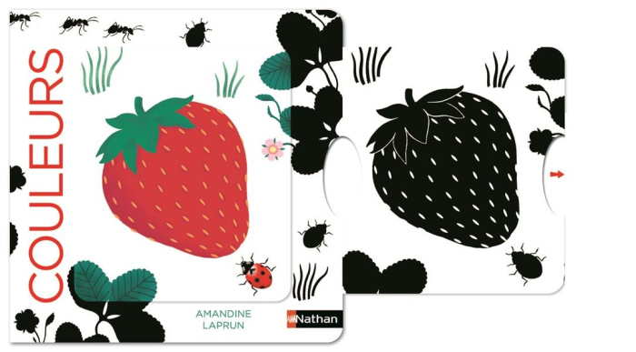 Emprunter Couleurs livre