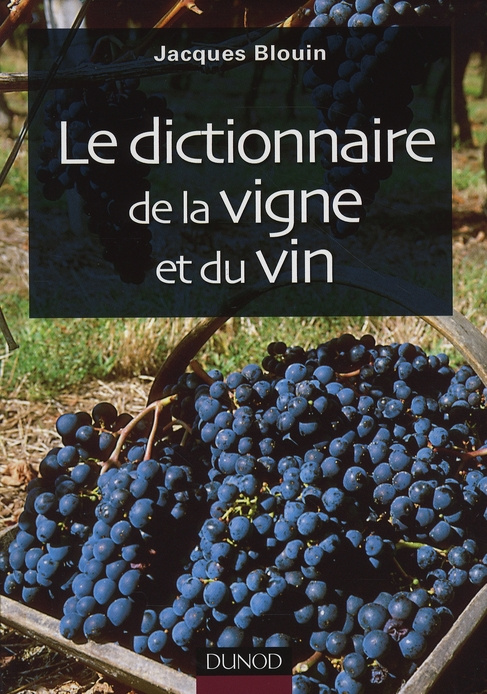 Emprunter LE DICTIONNAIRE DE LA VIGNE ET DU VIN livre