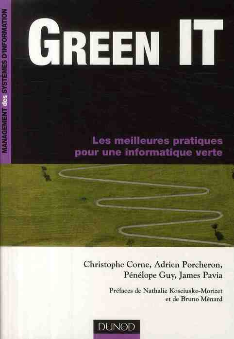Emprunter GREEN IT - LES MEILLEURES PRATIQUES POUR UNE INFORMATIQUE VERTE livre