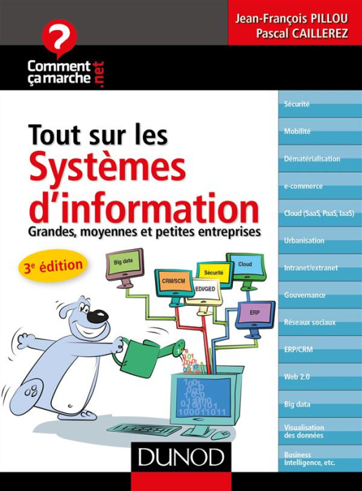 Emprunter Tout sur les systèmes d'information livre