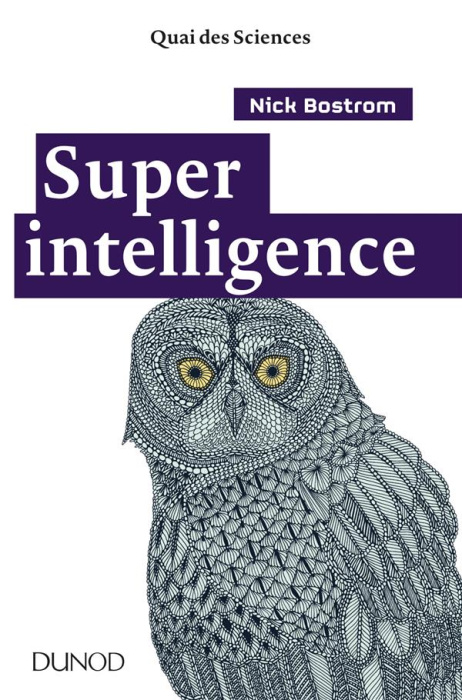Emprunter Superintelligence livre