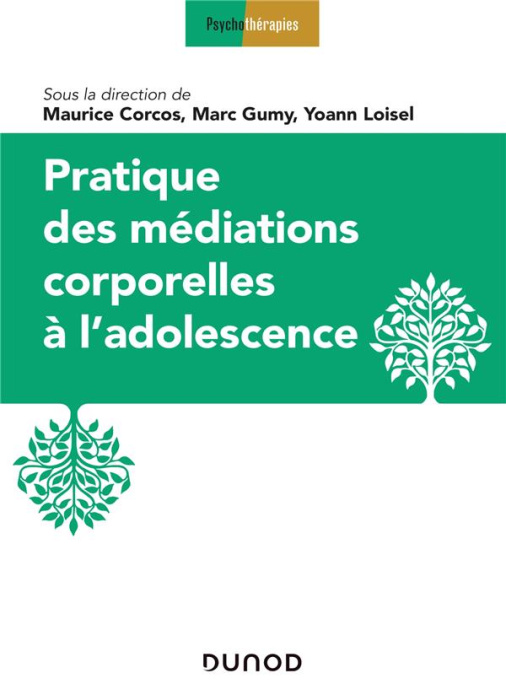 Emprunter Pratique des médiations corporelles à l'adolescence livre