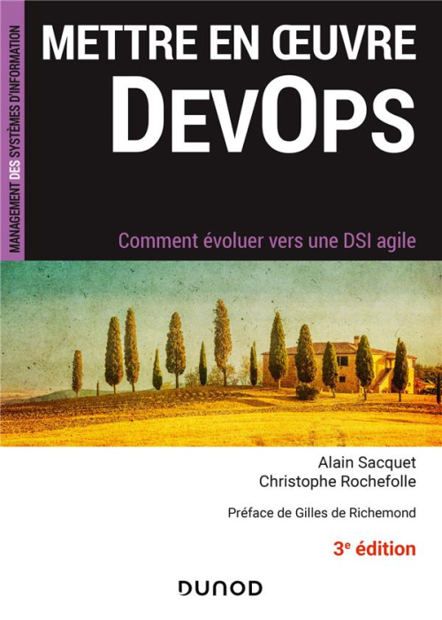 Emprunter Mettre en oeuvre DevOps. Comment évoluer vers une DSI agile, 3e édition livre