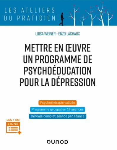 Emprunter Mettre en oeuvre un programme de psychoéducation pour la dépression livre