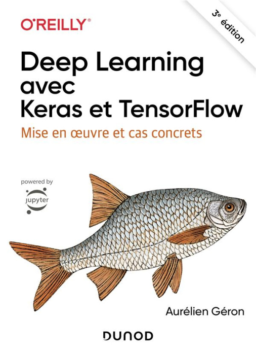 Emprunter Deep Learning avec Keras et TensorFlow. Mise en oeuvre et cas concrets, 3e édition livre