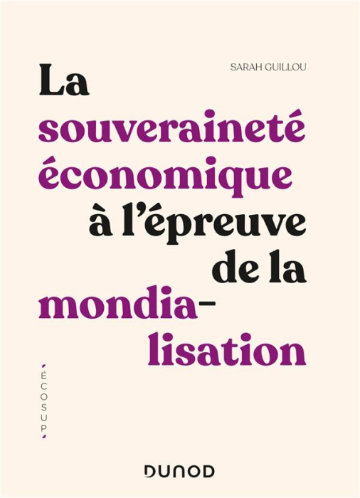 Emprunter La souveraineté économique à l'épreuve de la mondialisation livre