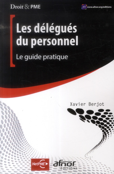 Emprunter LES DELEGUES DU PERSONNEL. LE GUIDE PRATIQUE livre