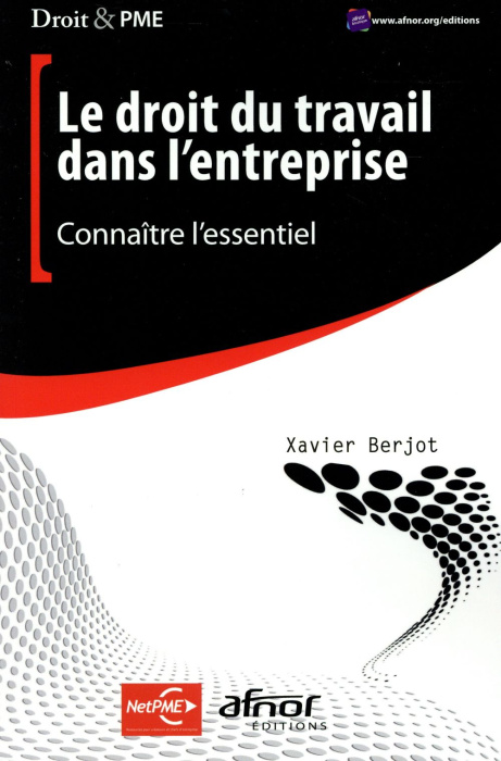 Emprunter LE DROIT DU TRAVAIL DANS L ENTREPRISE CONNAITRE L ESSENTIEL livre