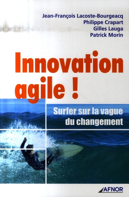 Emprunter INNOVATION AGILE ! SURFER SUR LA VAGUE DU CHANGEMENT livre