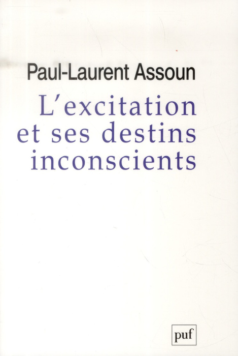Emprunter L'excitation et ses destins inconscients. Court Traité psychanalytique de l'excitation livre