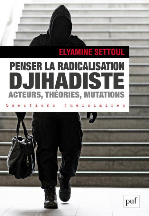 Emprunter Penser la radicalisation djihadiste. Acteurs, théories, mutations livre