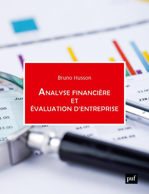 Emprunter Analyse financière et évaluation d'entreprise livre