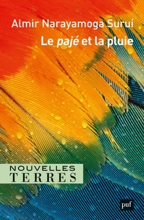 Emprunter Le pajé et la pluie livre