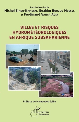 Emprunter Villes et risques hydrométéorologiques en Afrique subsaharienne livre