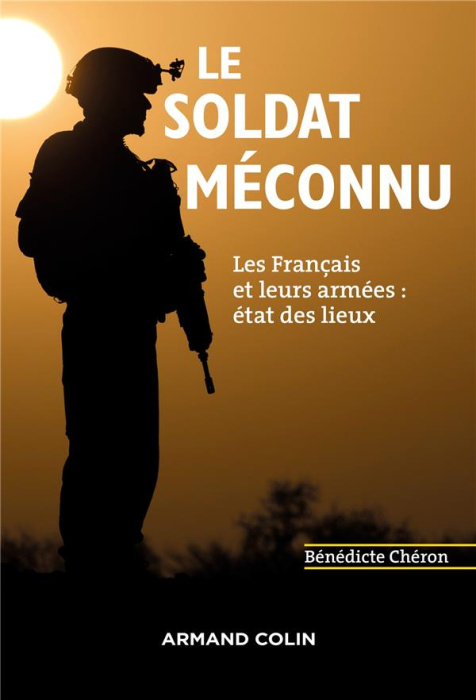 Emprunter Le soldat méconnu. Les Français et leurs armées : état des lieux livre
