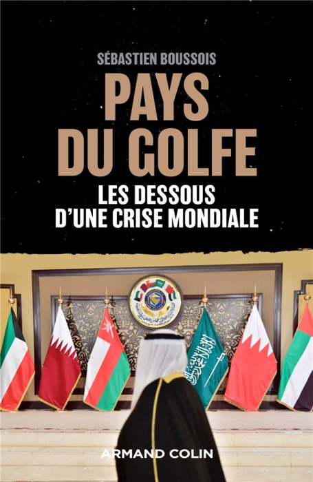 Emprunter Pays du Golfe. Les dessous d'une crise mondiale livre