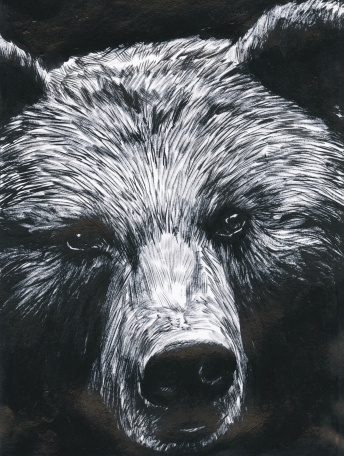 Emprunter La Dernière Reine - Edition de luxe livre