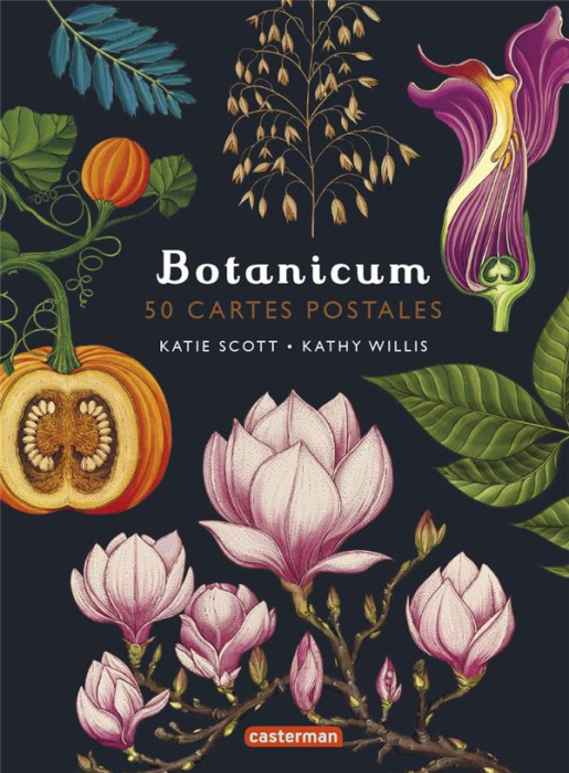 Emprunter Botanicum. 50 cartes postales livre