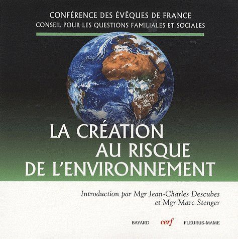 Emprunter La création au risque de l'environnement livre