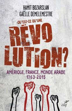 Emprunter Qu'est-ce qu'une révolution ? Amérique, France, monde arabe, 1763-2015 livre