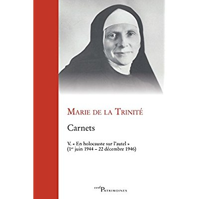 Emprunter Carnets. Tome 5,