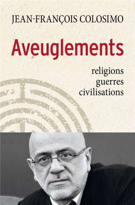 Emprunter Aveuglements. Religions, guerres, civilisations livre