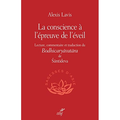 Emprunter La conscience à l'épreuve de l'éveil livre