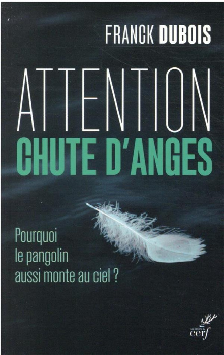 Emprunter Attention chute d'anges. Pourquoi le pangolin aussi monte au ciel ? livre